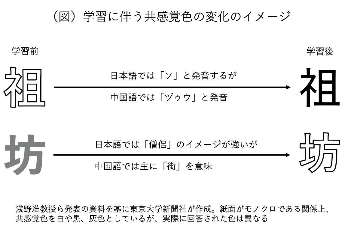 特定の文字から特定の色を想起する色字共感覚 文字の知識で想起する色変化 東大新聞オンライン