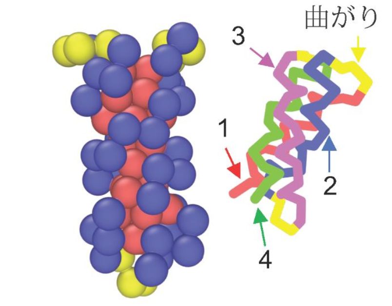 four alpha helices